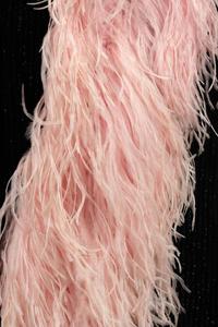 Nina Ricci Velvet Jacket Trimmed with Pink Feathers, 1969