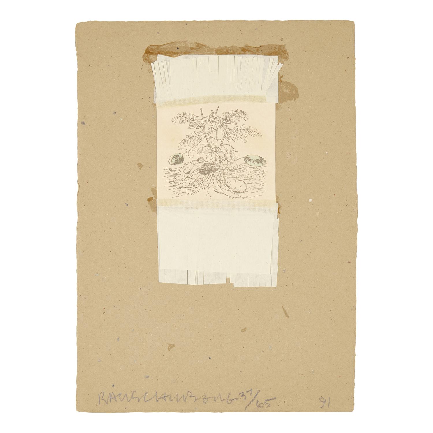 Robert Rauschenberg (American, 1925-2008) — Untitled (from Shirtboards, Morocco, Italy '52 Portfolio ), 1991