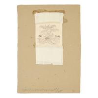 Robert Rauschenberg (American, 1925-2008) — Untitled (from Shirtboards, Morocco, Italy '52 Portfolio ), 1991