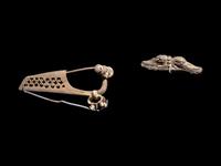 A Roman Silver Ornament and a Pannonian Silver Wing Fibula