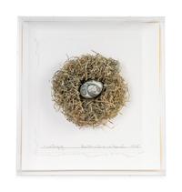 Nest Egg