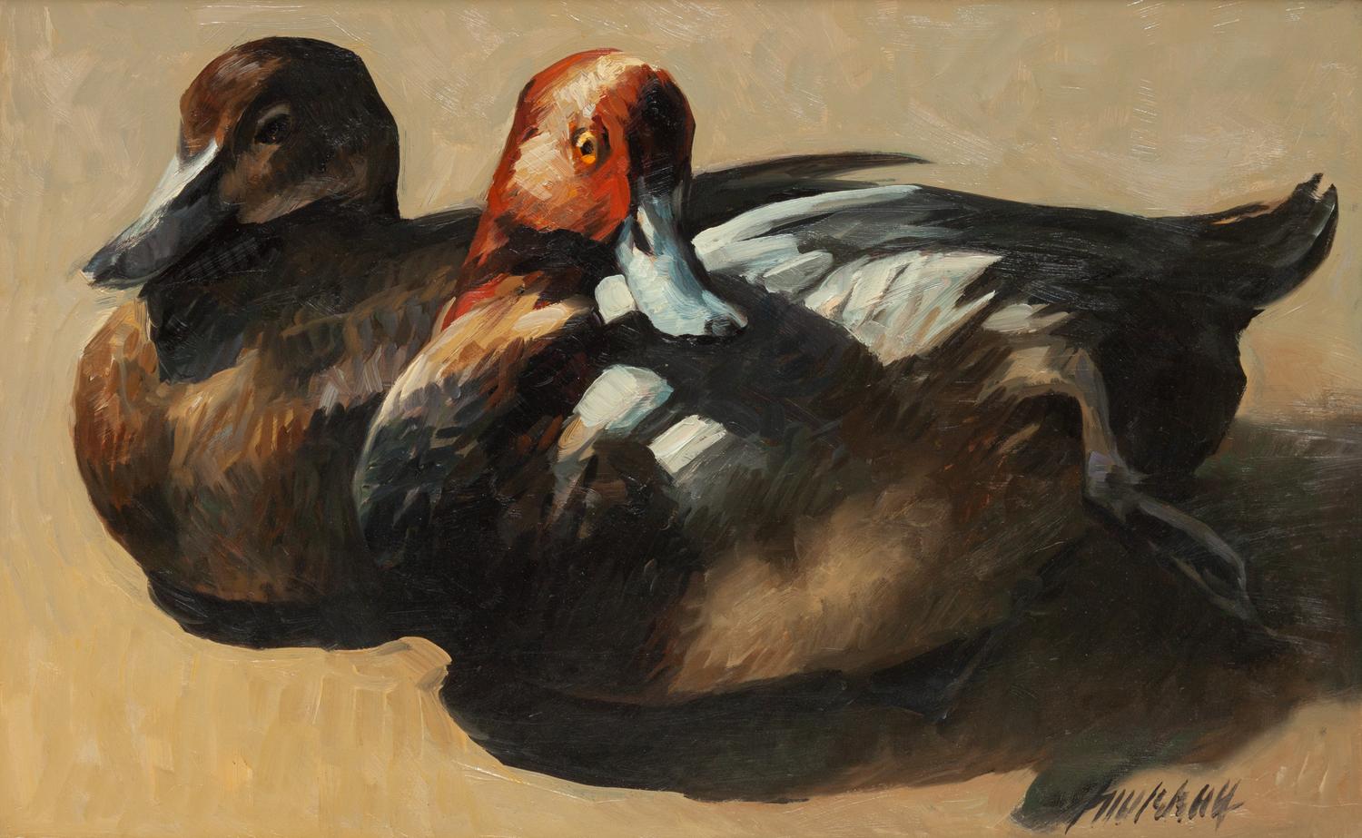 Read Head Ducks