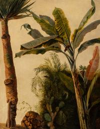 Wild Palm and Cacti