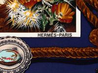 Hermès Kermit Oliver 90cm Silk Scarf