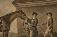 A Set of Four Equestrian Prints
