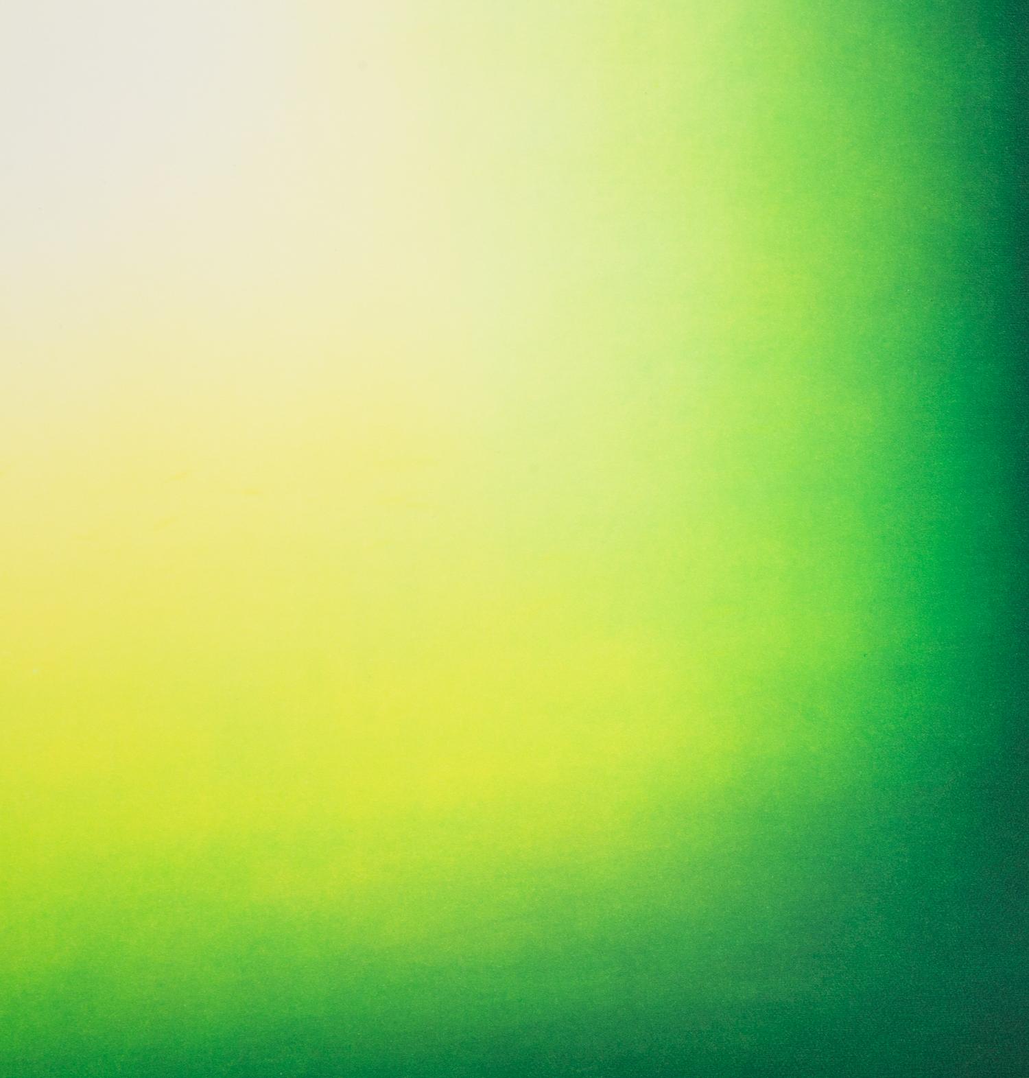 Shadow IV (Light Green) , 2011