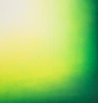 Shadow IV (Light Green) , 2011