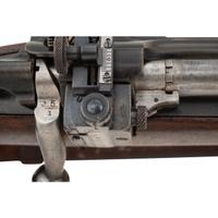 ** Springfield Model 1922M1