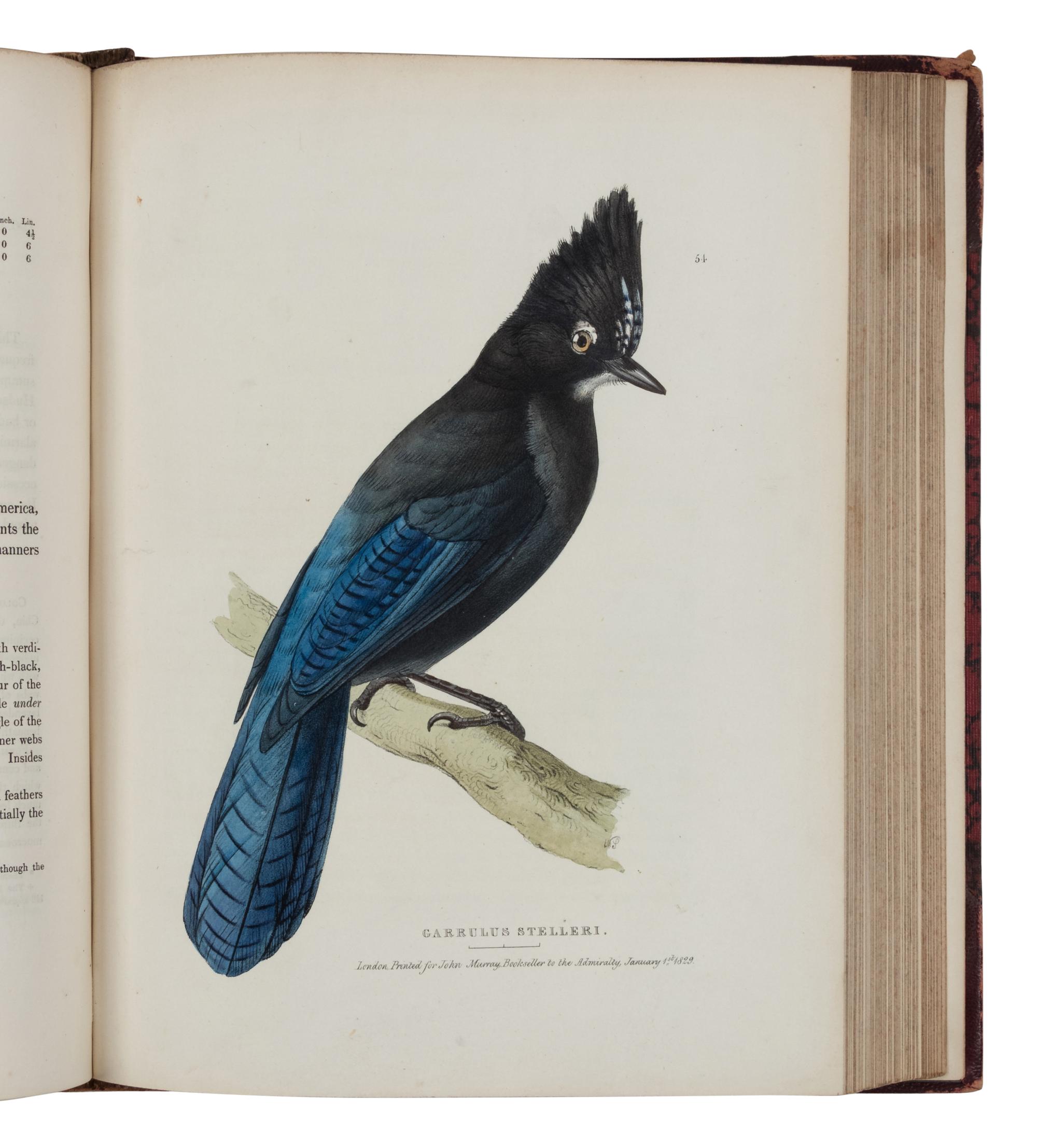 [NATURAL HISTORY]. RICHARDSON, John (1787-1865) and William SWAINSON (1789-1855). Fauna Boreali-Americana; or the Zoology of the Northern Parts of British America...Part First, containing the Quadrupeds . -- Fauna Boreali-Americana; or the Zoology of the Northern Parts of British America...Part Second, the Birds . London: John Murray, 1829, 1831.