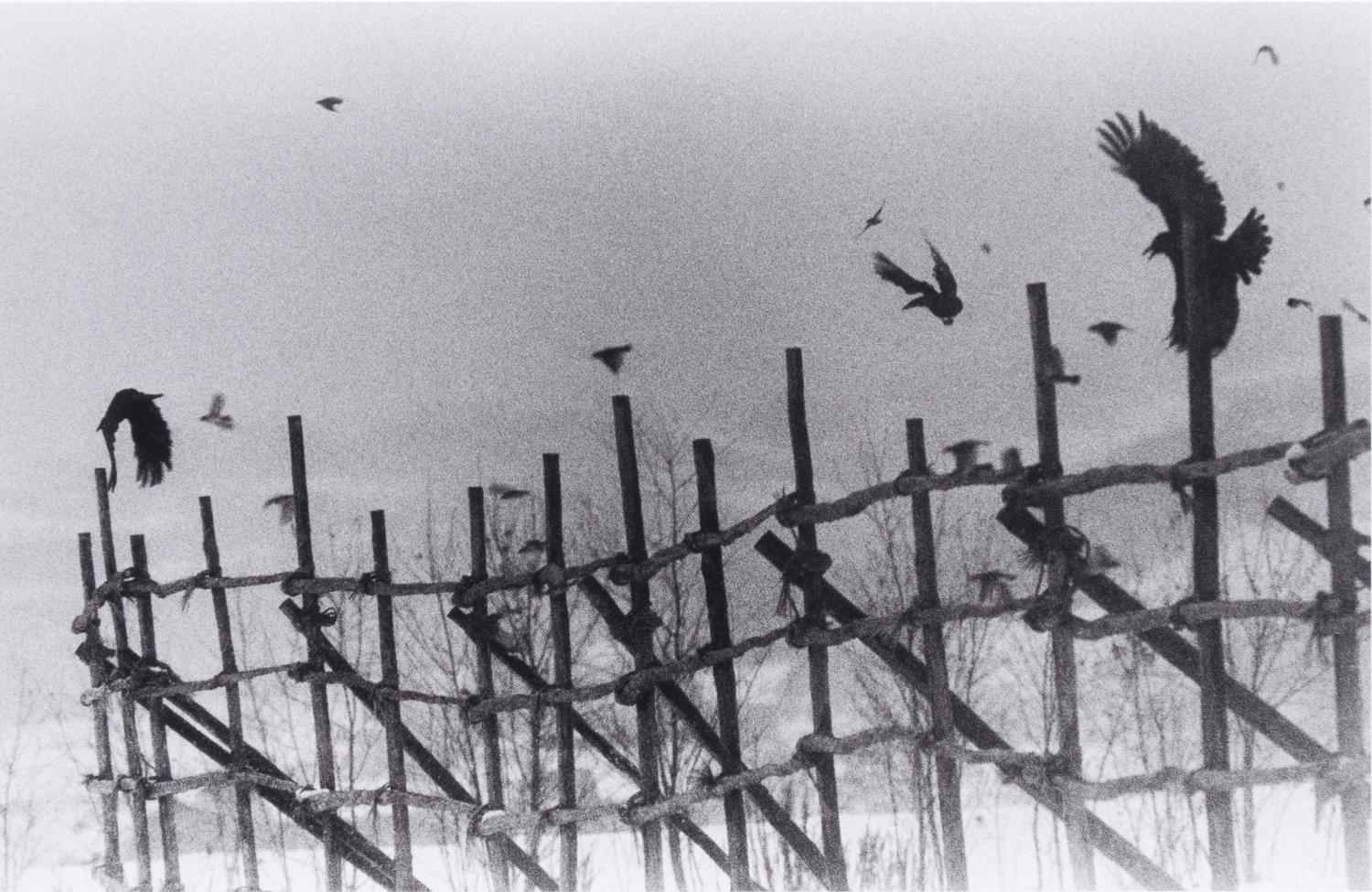 Nayoro, 1977 (from Modern Masters of Photography: Japan ); printed 2005