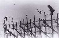 Nayoro, 1977 (from Modern Masters of Photography: Japan ); printed 2005