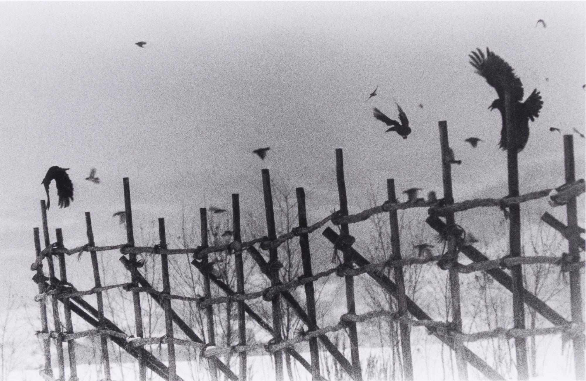 Nayoro, 1977 (from Modern Masters of Photography: Japan ); printed 2005