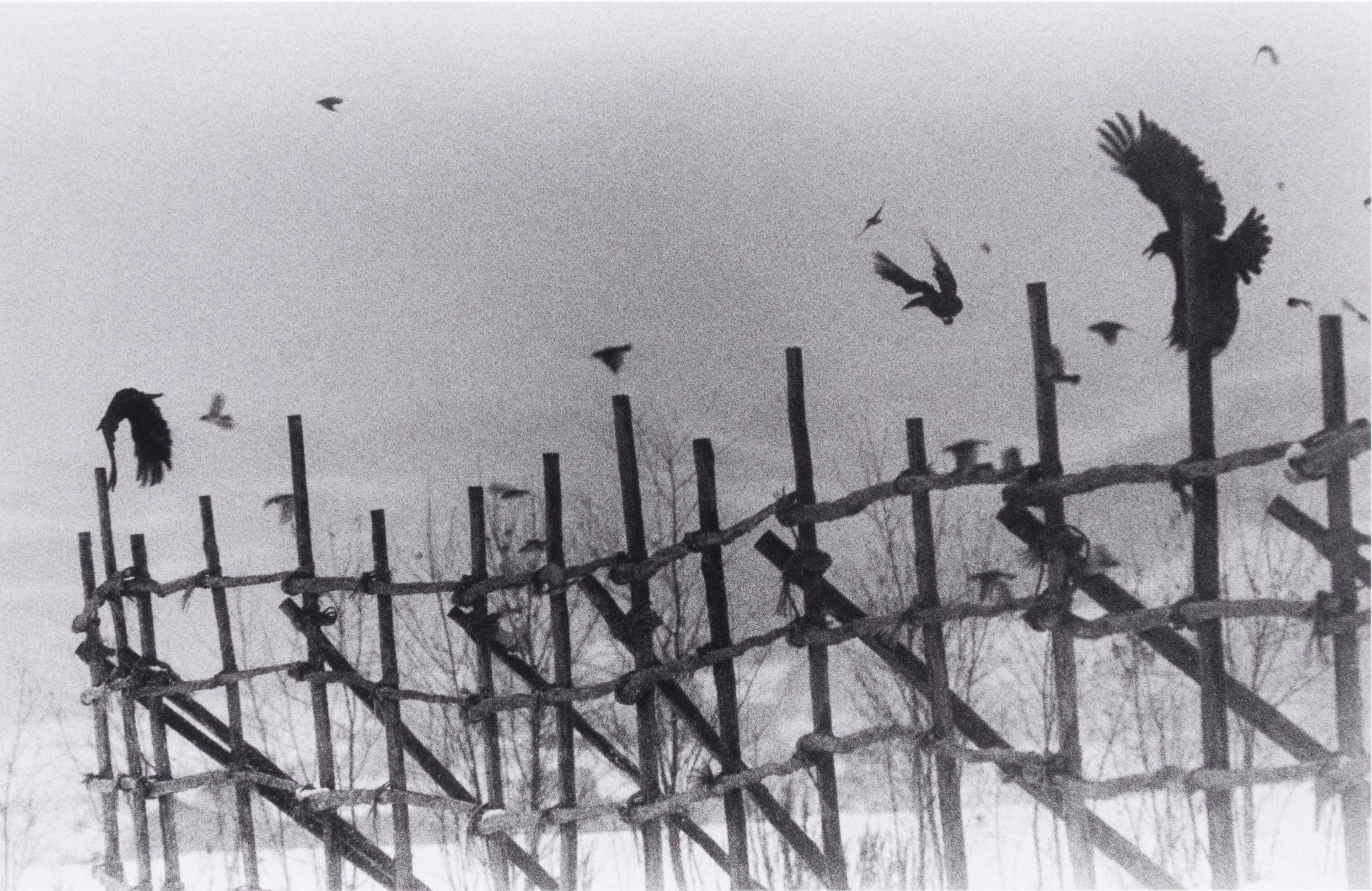 Nayoro, 1977 (from Modern Masters of Photography: Japan ); printed 2005