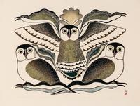 Tribute to Owl