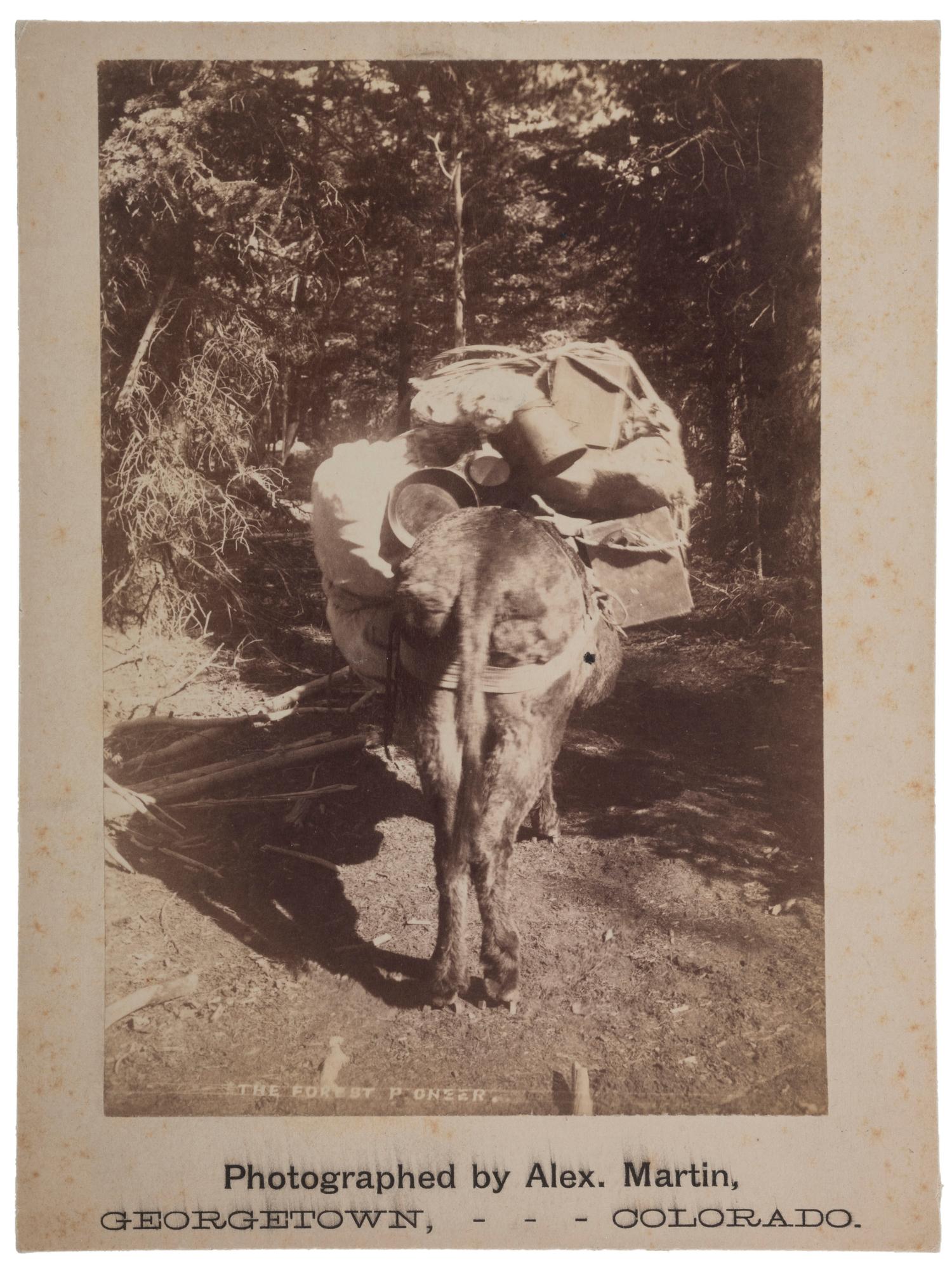 [COLORADO]. A group of 8 photographs incl. landscape views and pack mules by Alexander Martin and Byron Gurnsey, comprising: