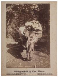 [COLORADO]. A group of 8 photographs incl. landscape views and pack mules by Alexander Martin and Byron Gurnsey, comprising: