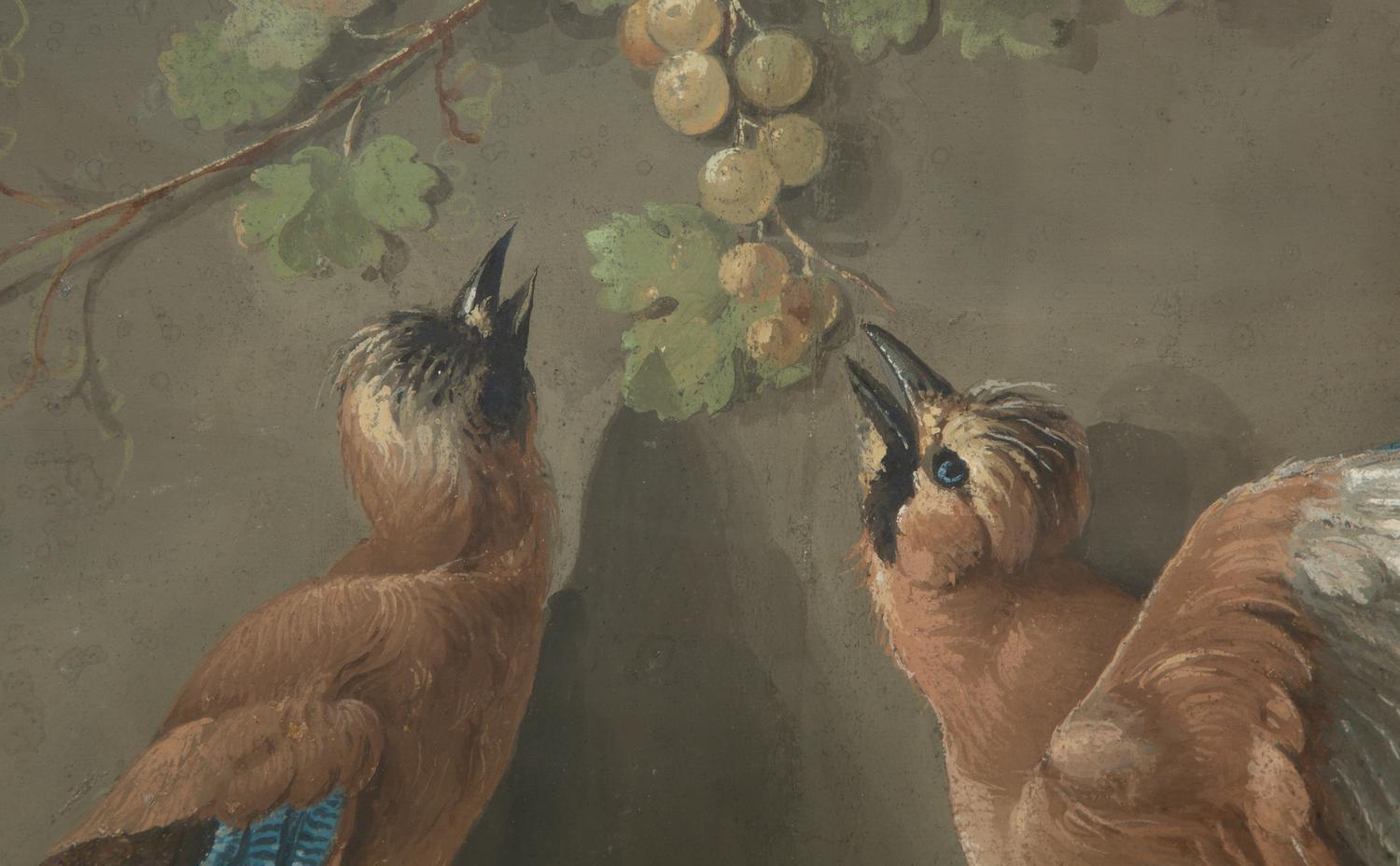 Two Birds and a Cluster of Grapes