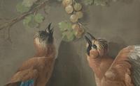 Two Birds and a Cluster of Grapes