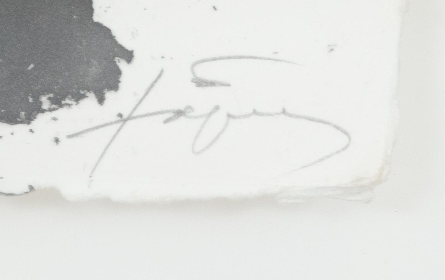 Carmí 5 , 1994