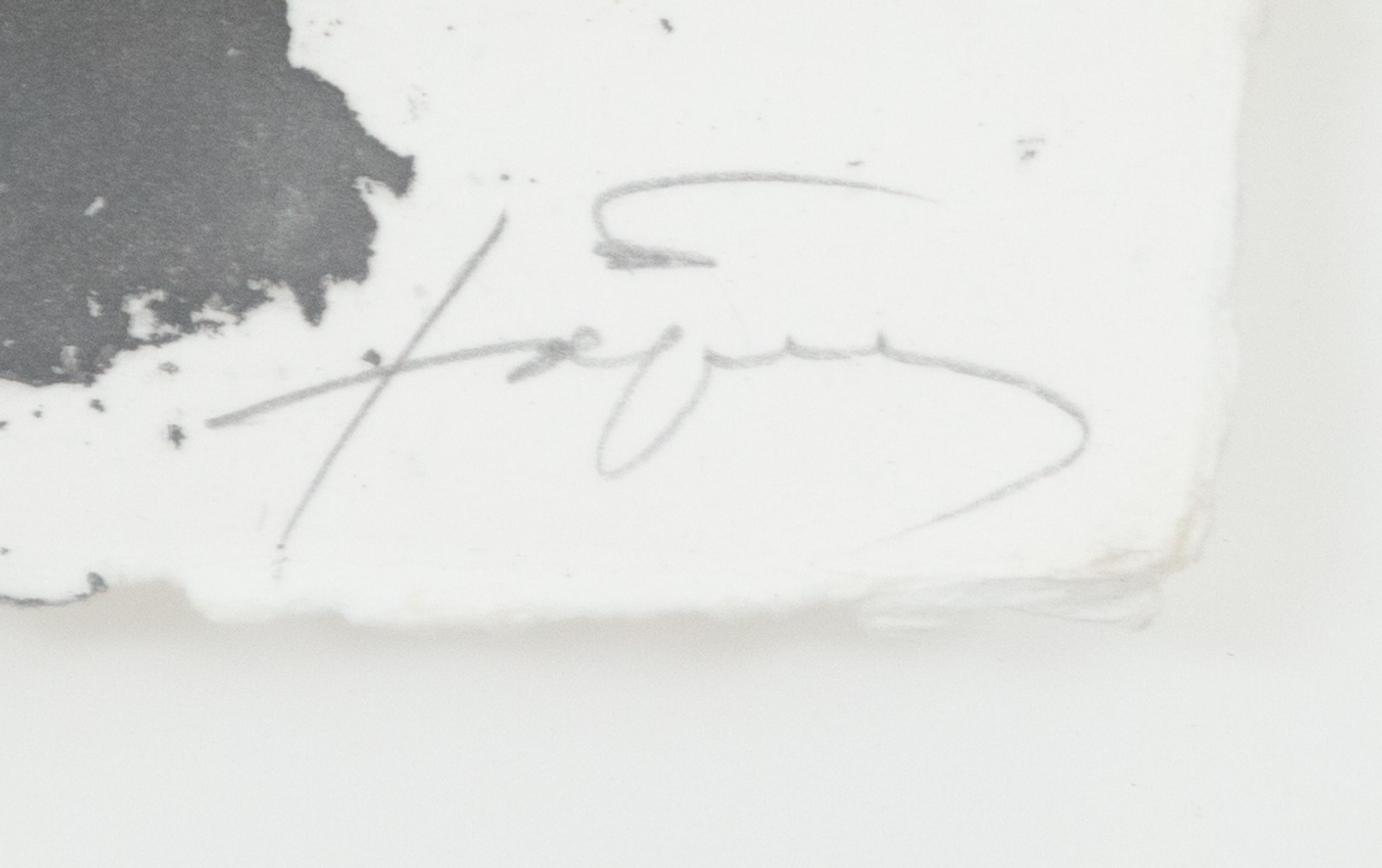 Carmí 5 , 1994