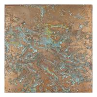 From Forest Mapping Series