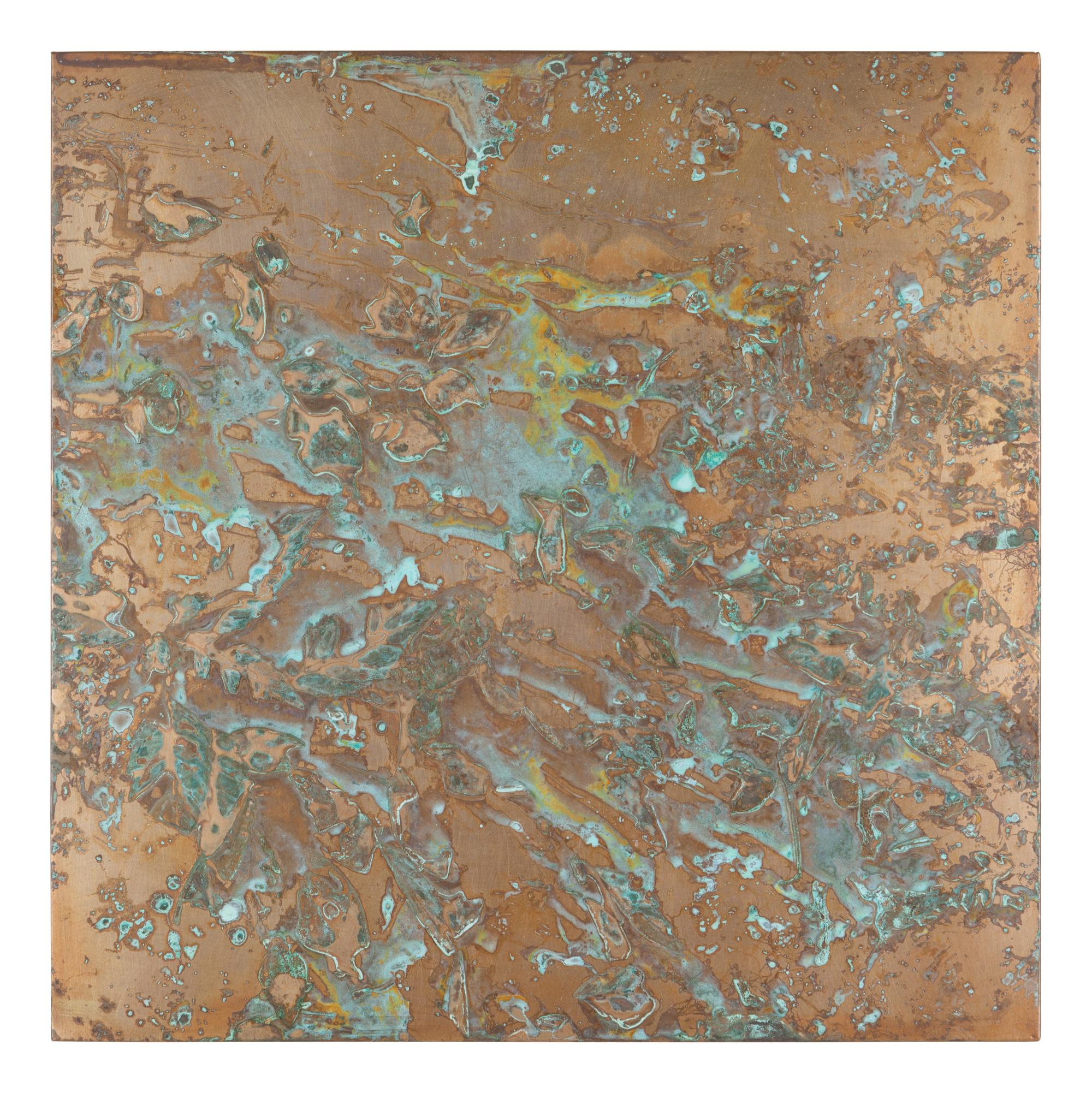 From Forest Mapping Series