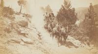 Fiske, George (1835-1918). Albumen photograph of a Yosemite, California, stagecoach.