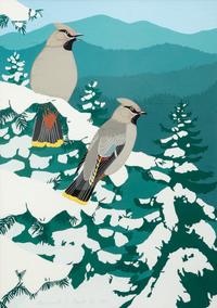 Cedar Wax Wings , 1987