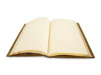 An Extra-Large Folio Fine Gilt Tooled Leather Bound Blank Book