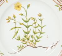 Twelve Royal Copenhagen Flora Danica Porcelain Dinner Plates