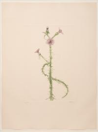 Pair of prints