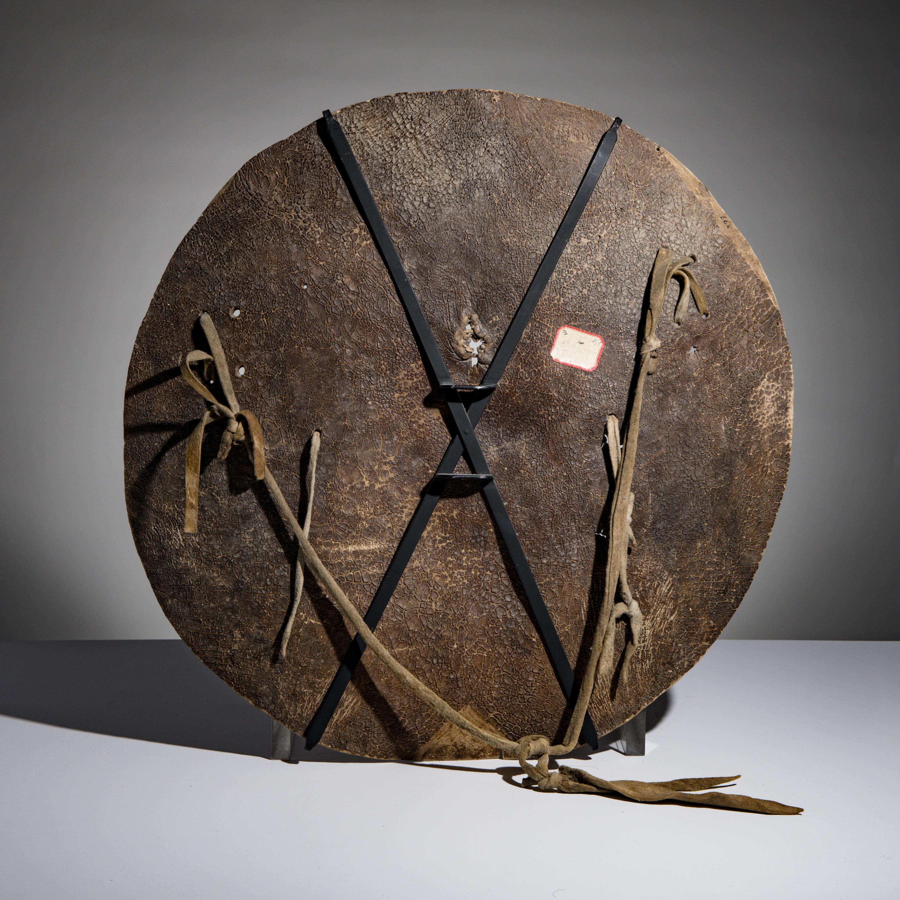 Pueblo Painted Buffalo Hide Shield, Published