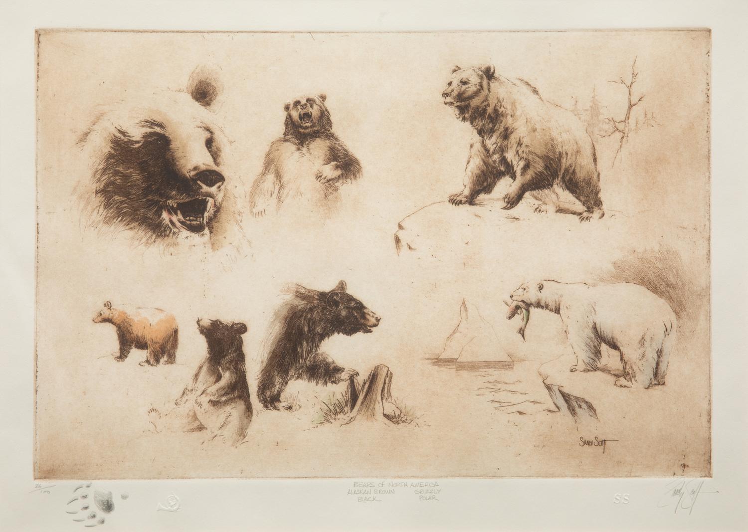 The Bears of North America , edition 26/100