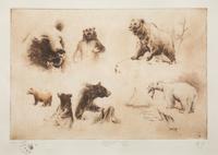 The Bears of North America , edition 26/100
