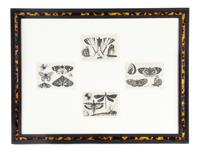 A Set of Twelve English Etchings, Wenceslaus Hollar (Bohemian, 1607-1677), Height 3 x width 4 1/2 inches (each).