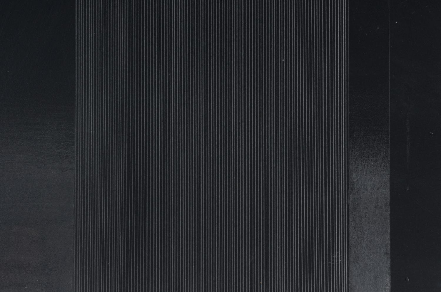 Bild 12/Fur/S,W,B # 4, 1979 (diptych)
