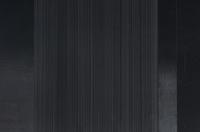 Bild 12/Fur/S,W,B # 4, 1979 (diptych)