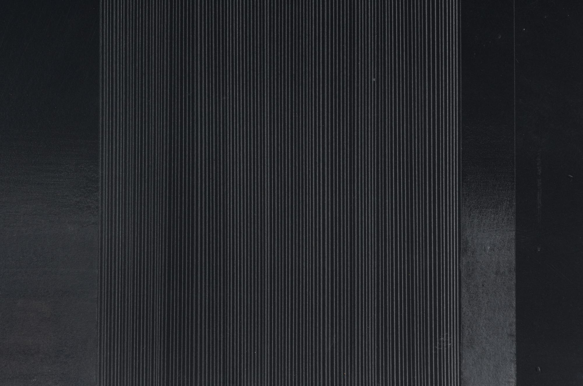 Bild 12/Fur/S,W,B # 4, 1979 (diptych)