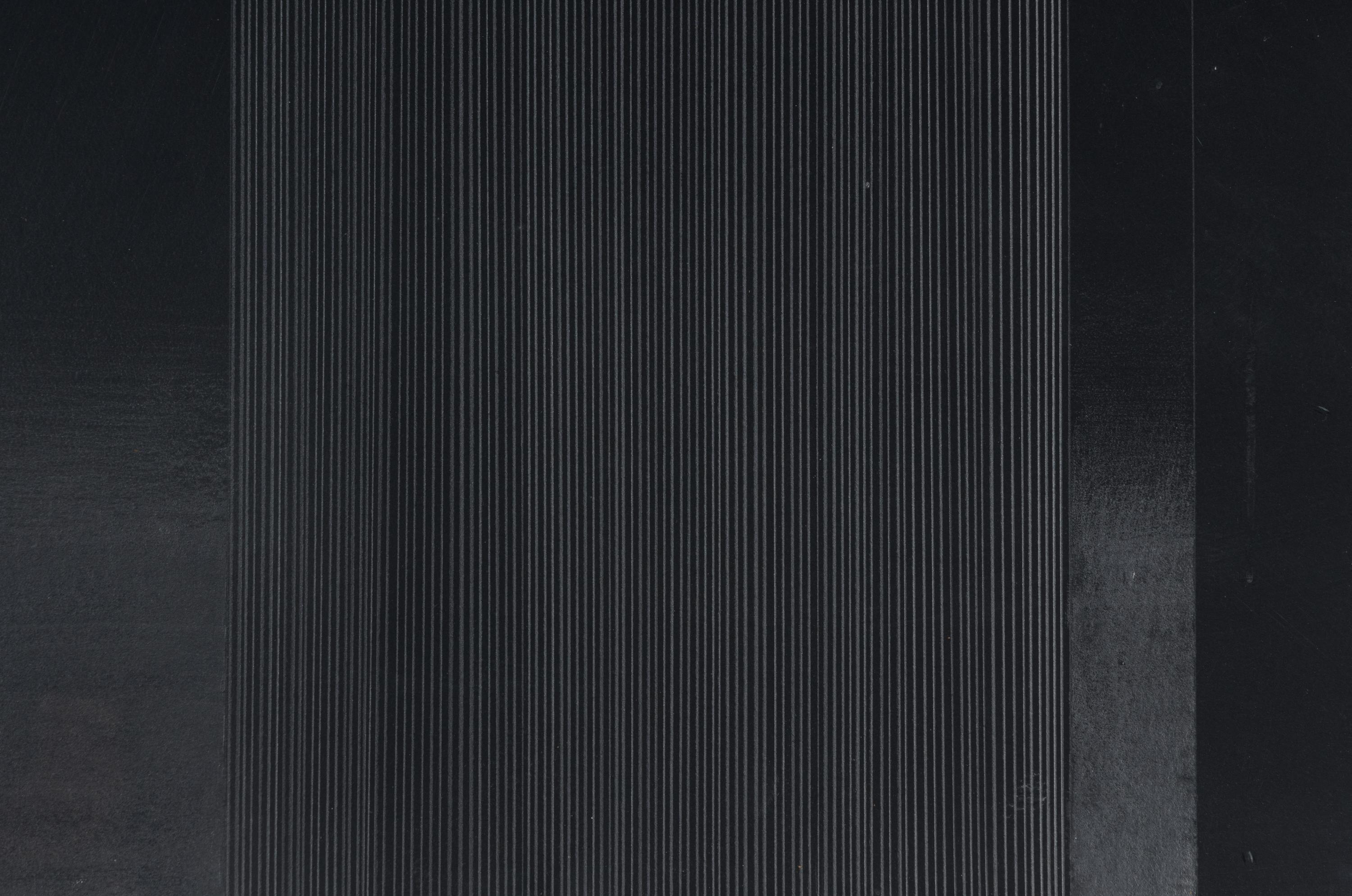 Bild 12/Fur/S,W,B # 4, 1979 (diptych)