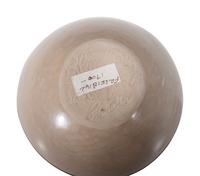 Polychrome Pottery