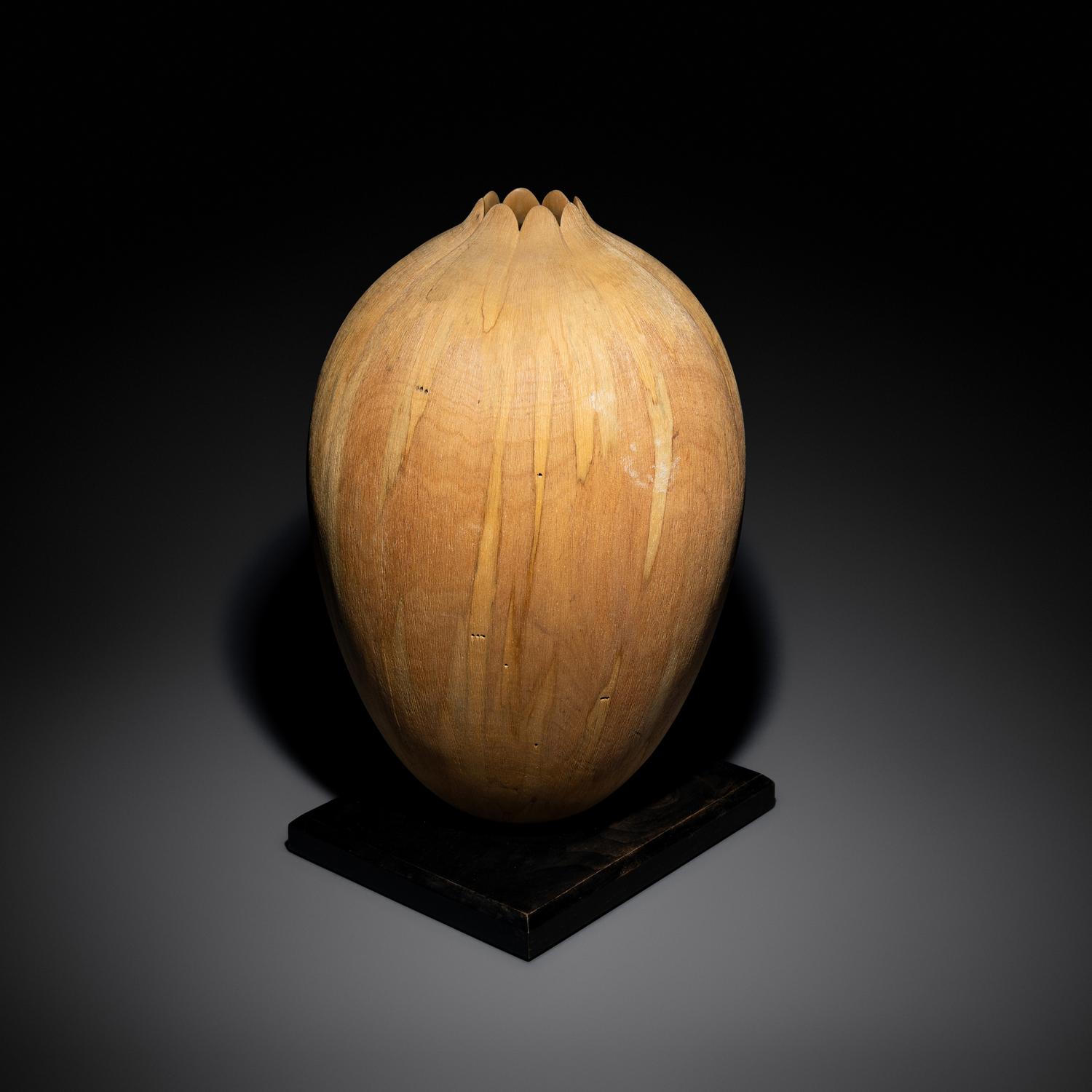 Red Maple Vessel #1, 2000