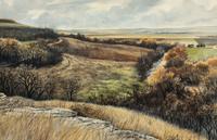 Cottonwood Valley at Elmdale