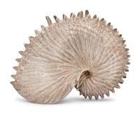 A Mexican Silver Shell-Form Table Ornament