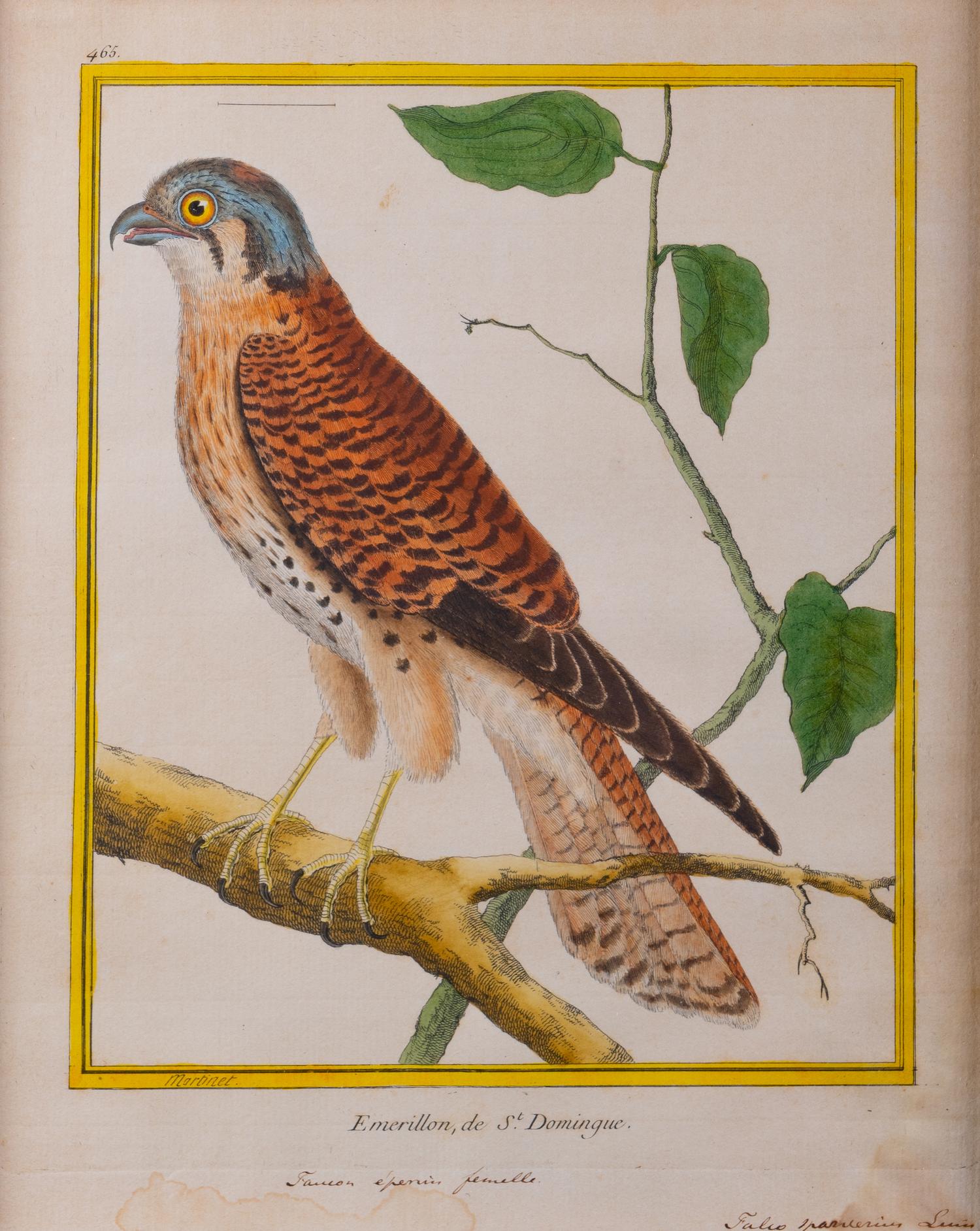 A Set of Four Hand-Colored Engravings After Francois Martinet — 18TH CENTURY
