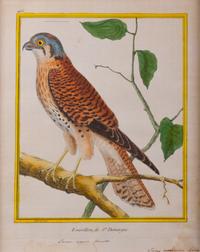 A Set of Four Hand-Colored Engravings After Francois Martinet — 18TH CENTURY