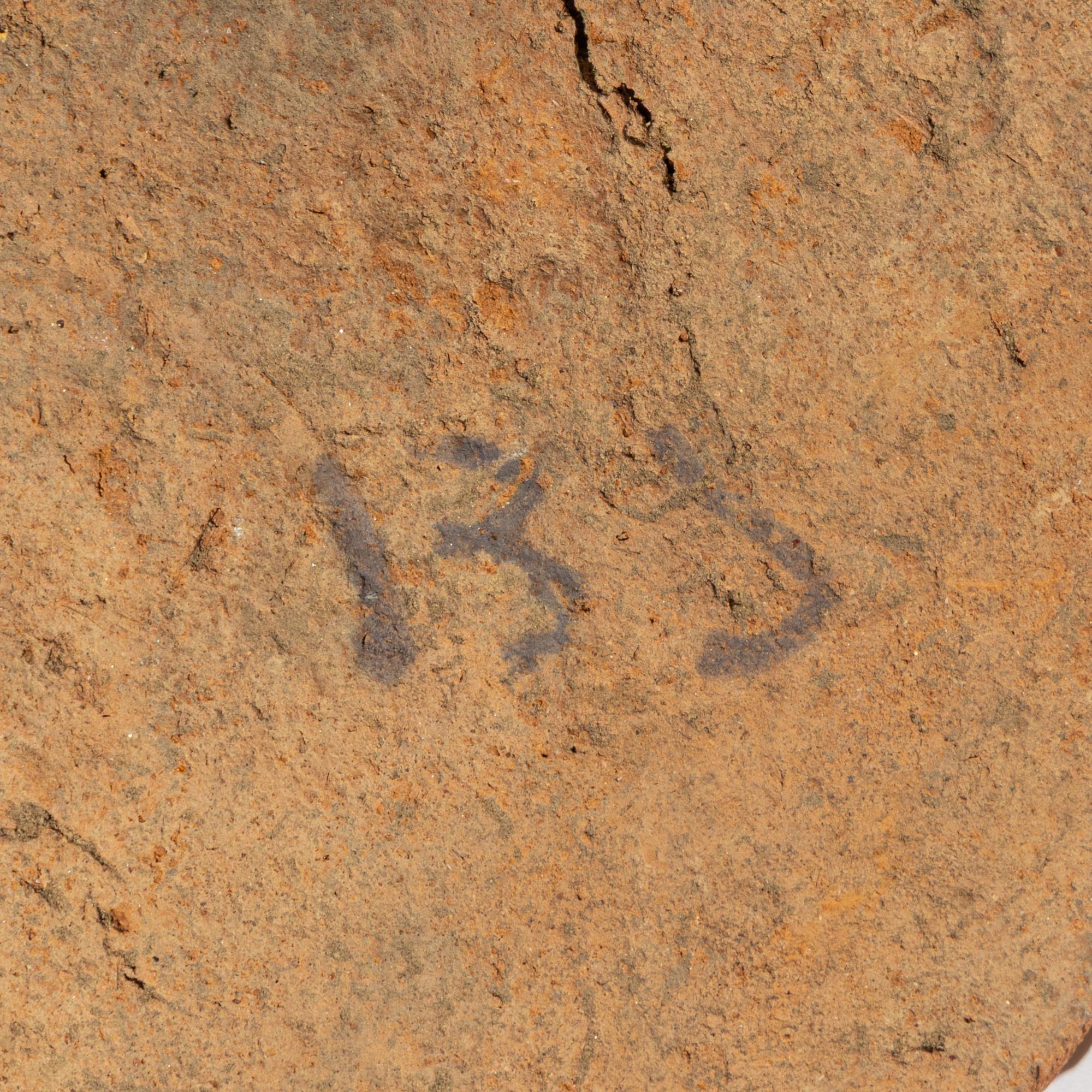 11 Greco-Roman Stone and Terracotta Figures
