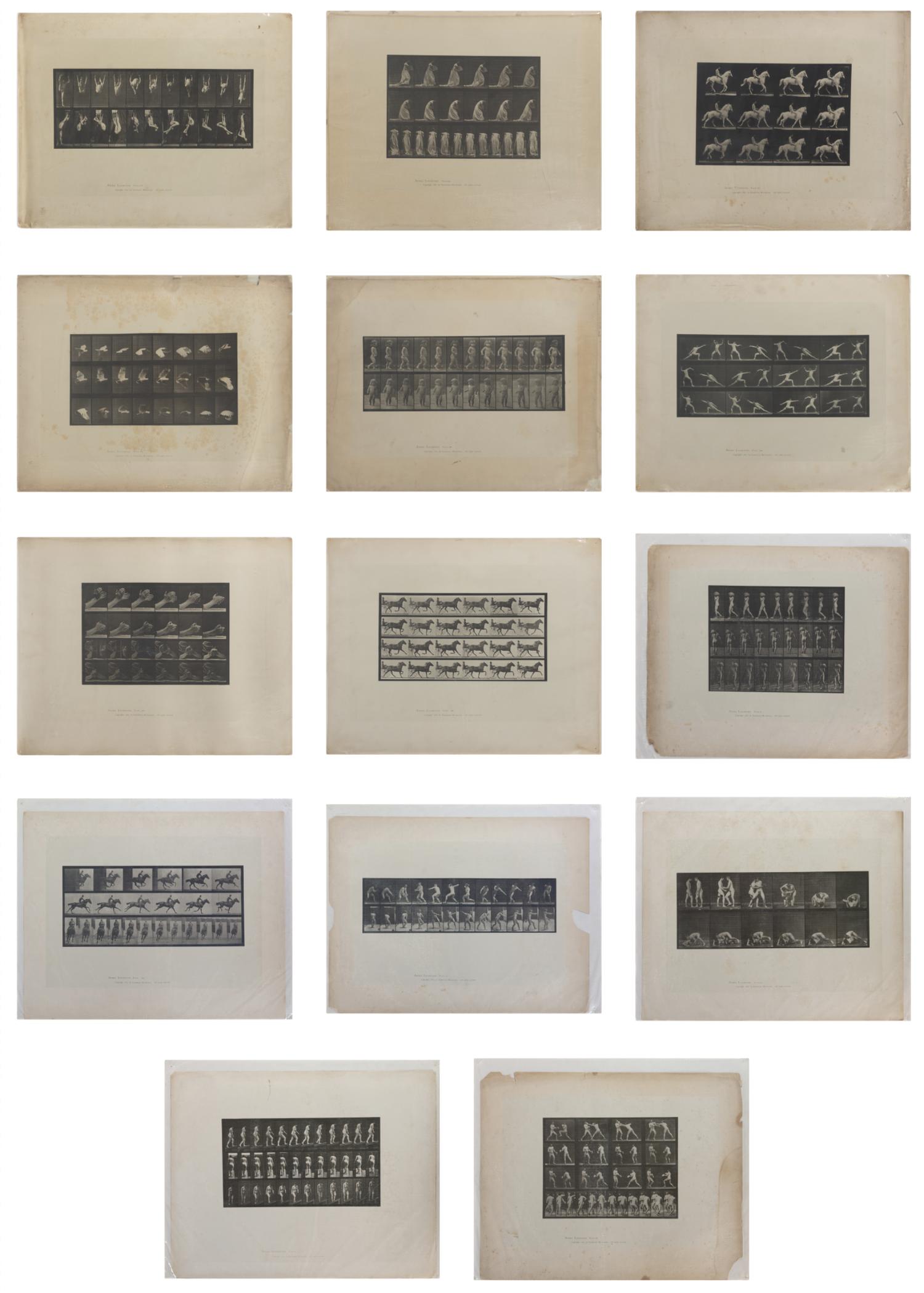 15 Plates from Animal Locomotion , 1887