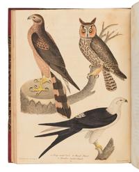 Wilson, Alexander. American Ornithology; or, The Natural History of the Birds of the United States . (With) Bonaparte, Charles Lucian. American Ornithology; Or, the Natural History of Birds Inhabiting the United States. Not Given by Wilson ...