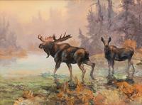 Cautious Crossing