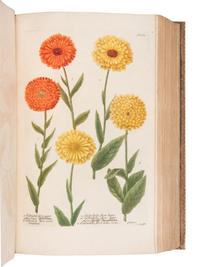 [NATURAL HISTORY]. WEINMANN, Johann Wilhelm (1683-1741). Phytanthoza - Iconographia, oder eigentliche Vorstellung etlicher tausend, wo wohl einheimisch als Ausländischer…. Regensburg: Hieronymo Lenz, 1739.